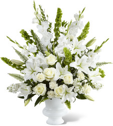 Morning Stars Arrangement Davenport Florist - Same Day Flower Delivery - Flower Power 